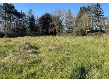 vente terrain 1187 m² à saint-amand-de-coly (24290)  35 000 €