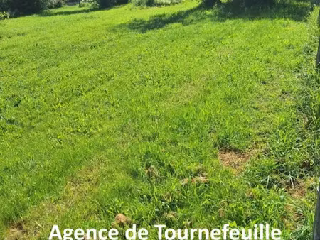 vente terrain 2600 m² à lacourt-saint-pierre (82290)  75 000 €