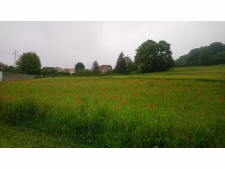 vente terrain 3598 m² à barisis (02700)  78 000 €