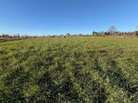 vente terrain 561 m² à capian (33550)  80 000 €