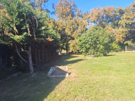 vente terrain 1000 m² à pelleport (31480)  53 000 €