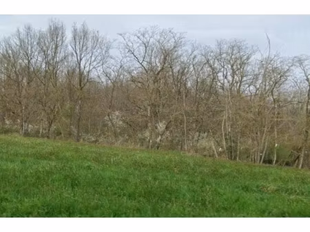 vente terrain 850 m² à gratens (31430)  68 000 €