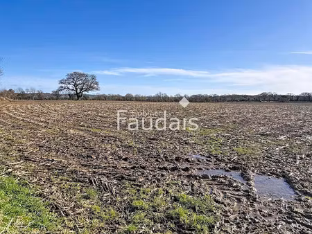 vente terrain 65732 m² à saint-symphorien-le-valois (50250)  71 000 €