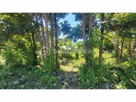 terrain de 778 m² à saint-philippe