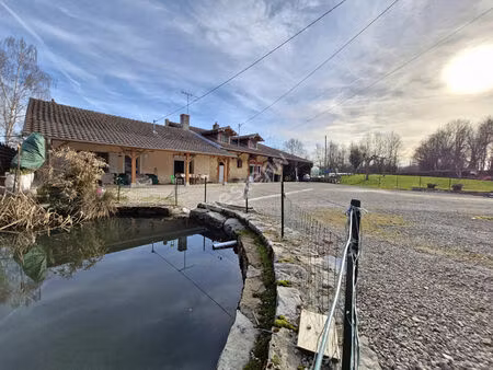 maison familiale 3 ou 4 chambres sur plus de 2 900 m² de terrain entre cuiseaux et varenne