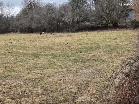 terrain 1100m2 avec cu