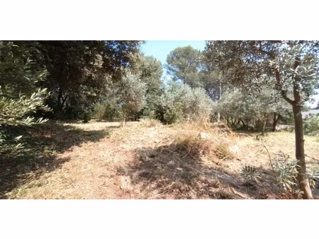 vente terrain 1000 m² à pélissanne (13330)  250 000 €