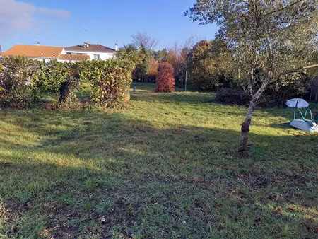 vente terrain 580 m² à saujon (17600)  145 000 €