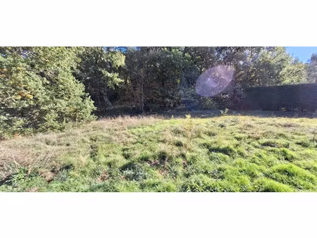 vente terrain 1000 m² à bonrepos-sur-aussonnelle (31470)  148 000 €