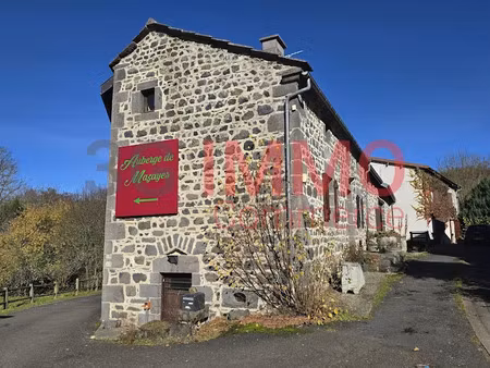 vente locaux professionnels à mazaye (63230)  270 000 €