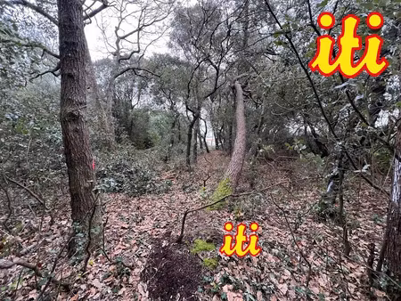 vente terrain à batir 707 m² à chateau-d'olonne (85180)  340 000 €