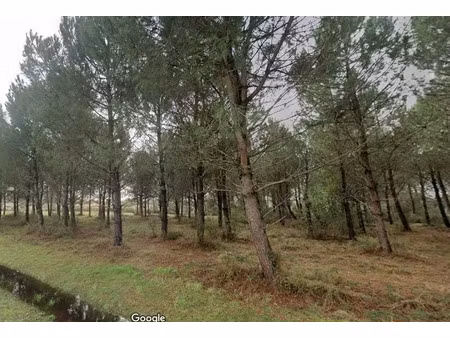 vente terrain 560 m² à andernos-les-bains (33510)  355 000 €