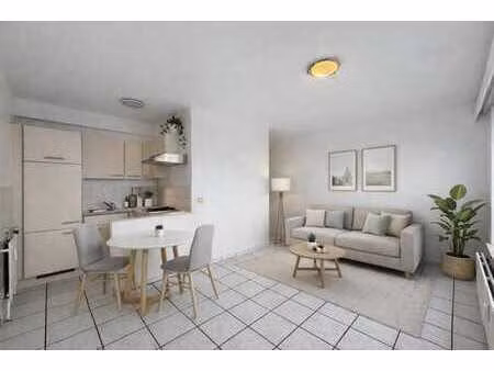 magnifique studio a louer