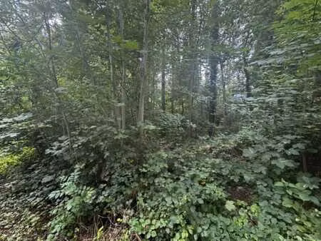 terrain au coeur d'un quartier prisé.