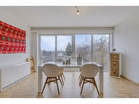 lichtrijk appartement met twee slaapkamers in borgerhout!