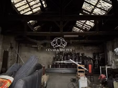 immobilier professionnel à vendre lyon