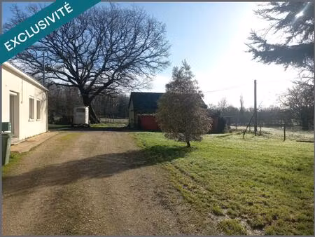 idéal propriétaire d'animaux