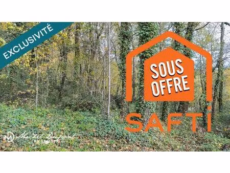terrain de 10 039 m² dont 1 000m² environ de constructible