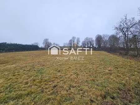 terrain de 2900m² à tanavelle (15100)