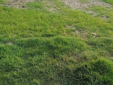 vente terrain à ploemeur (56270) : à vendre / ploemeur