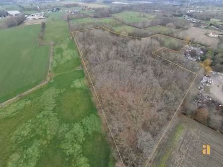 bosperceel met aangrenzend weiland in landelijke omgeving
