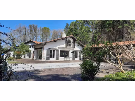 ascain maison + appartement t3