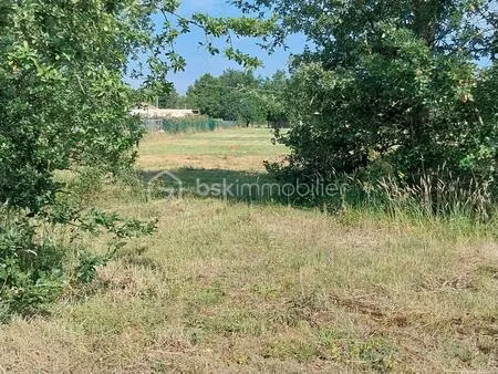 negrepelisse  terrain viabilisé  et relié au tout à l'égout