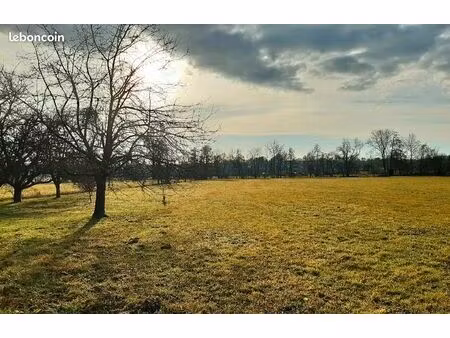 terrain 1 800 m² balschwiller