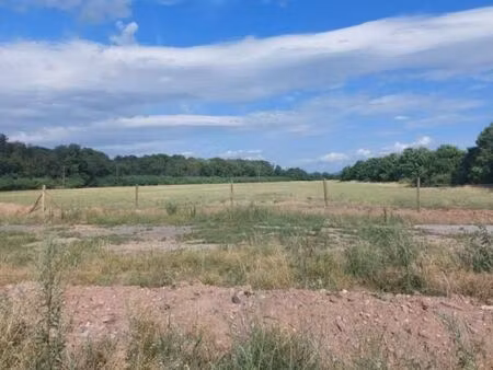 terrain 310 m² bennwihr