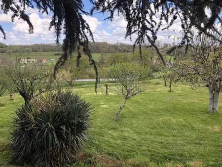 vente terrain 1047 m² rieumes (31370)