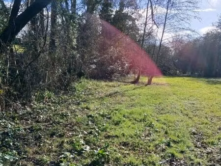 terrain 1 704 m² gensac la pallue