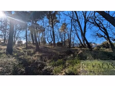 terrain constructible