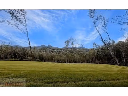 vente terrain boisé – forêt monoblet  40 000€ gard languedoc roussillon n°