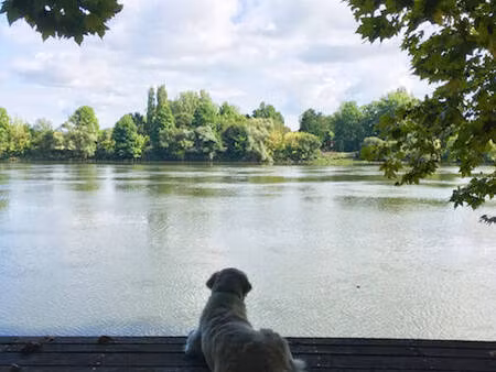 attachante propriete avec ponton sur l’adour