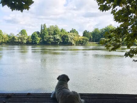 attachante propriete avec ponton sur l'adour