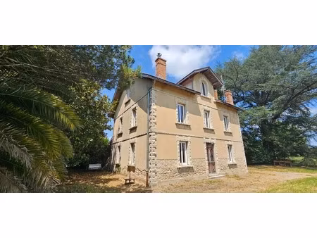 maison de maitre proche de peyrehorade (40) - 21896 m2 de terrain