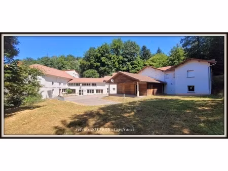 colonie de vacances ou propriété équestre à vendre à pexonne (54)