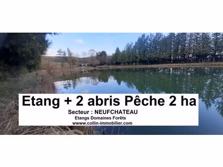 en vente terrain constructible 150 ares – 119 000 € |neufchâteau