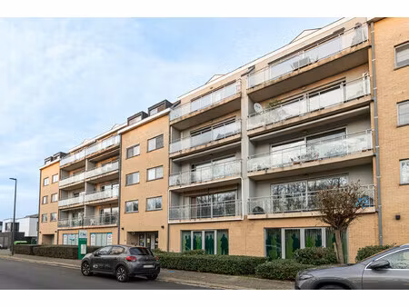 appartement te huur in willebroek met 1 slaapkamer