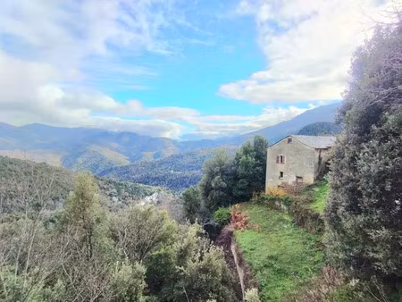 vente maison 7 pièces 120 m² à pie-d'orezza (20229)  99 000 €