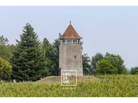 vente maison 3 pièces 39 m² à villegouge (33141)  169 000 €