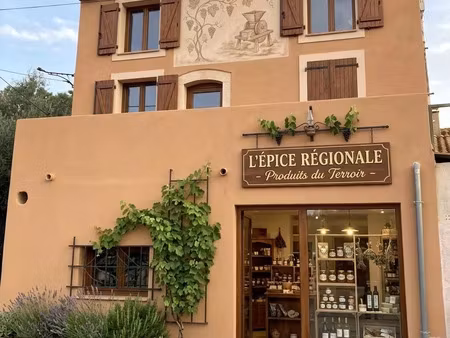 vente maison 4 pièces 165 m² la palme (11480)