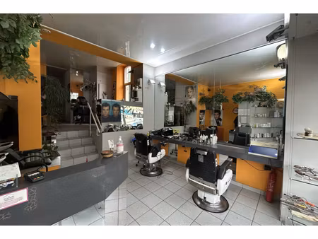 annonce commerce à vendre