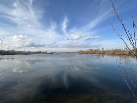 achat terrain 223 952m² villemanoche 89140