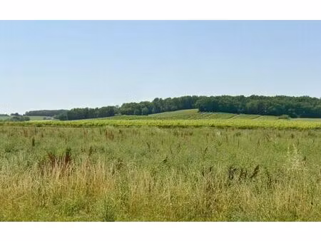 vente terrain 771 m² sigoulès-et-flaugeac (24240)