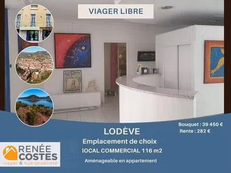 viager libre - f72-h81 ans - lodeve (34700)