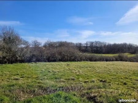 vente terrain 4650 m² thenon (24210)