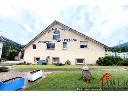 vente commerce 270 m² le tholy (88530)