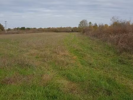 terrain à bâtir à saint-ciers-d'abzac (33910)