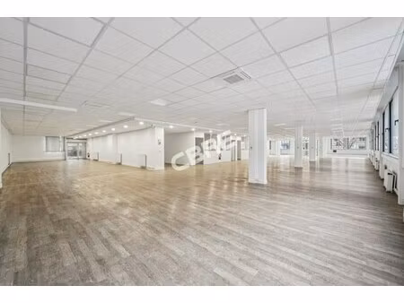 location local professionnel 1 018m²